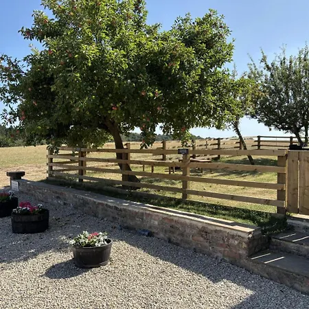 3 Bed In Oc-l34088 Holiday home Cundall